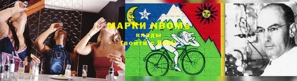 стафф Бородино