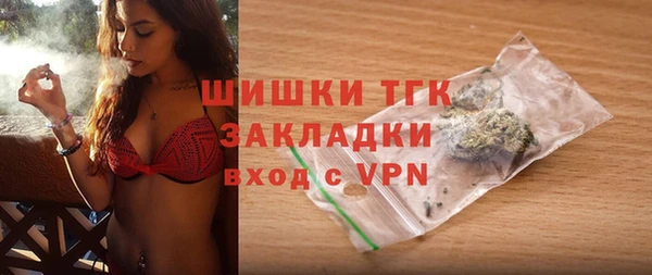 стафф Бородино