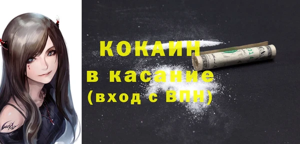 стафф Бородино