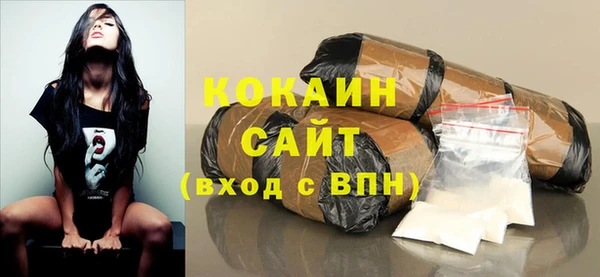 стафф Бородино