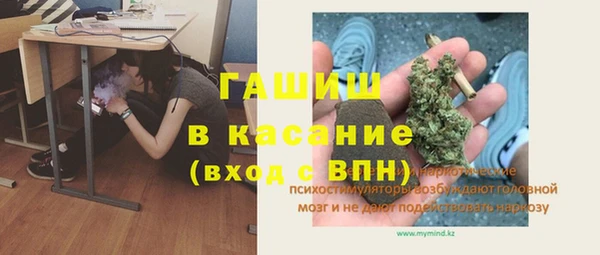 стафф Бородино
