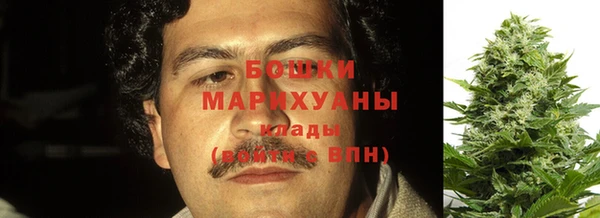 стафф Бородино