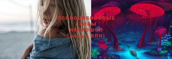 прущий лед Бронницы