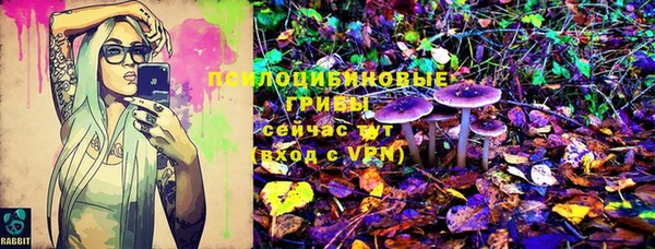 прущий лед Бронницы