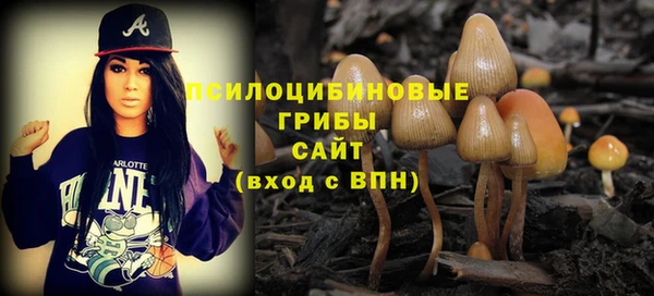 стафф Бородино