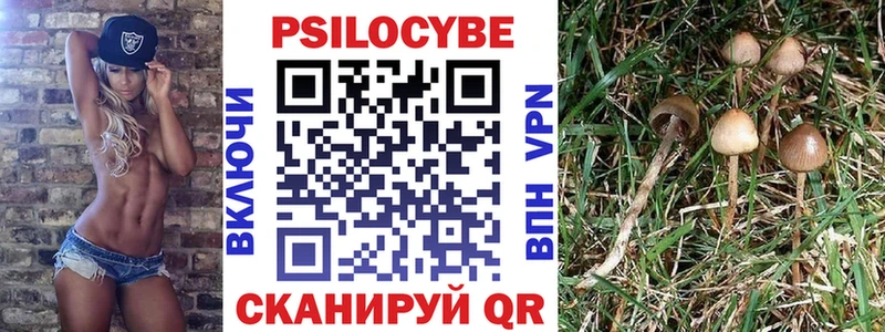 Псилоцибиновые грибы мицелий  Купить  Наро-Фоминск 